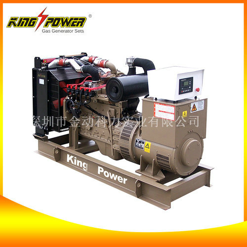 【沼氣發(fā)電機(jī)廠家】讓污染成為能源的一種！