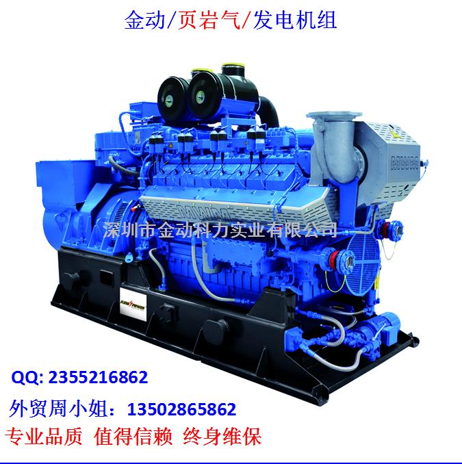 【深圳頁(yè)巖氣發(fā)電機(jī)】 發(fā)展趨勢(shì)無(wú)懈可擋！