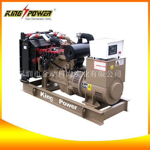 【頁巖氣發電機廠家】打造經濟效益!