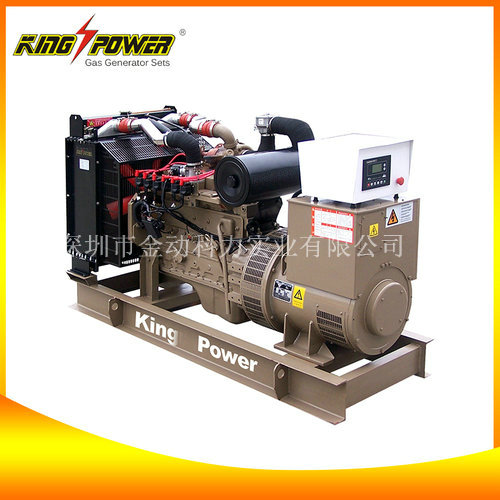 【廣東天燃?xì)獍l(fā)電機(jī)】為您提供動(dòng)力！